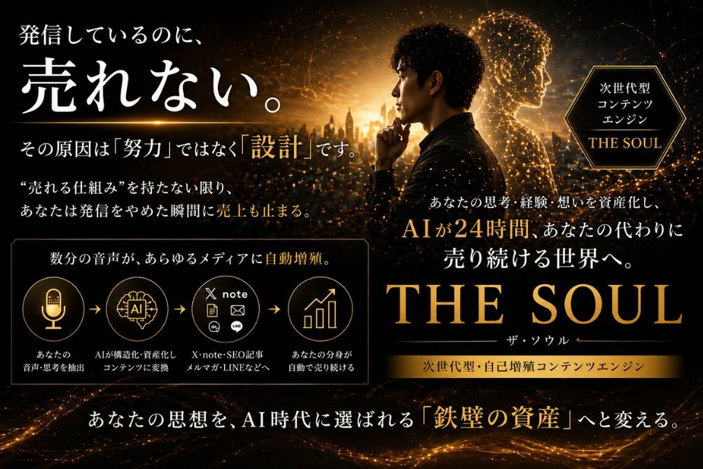 THE SOUL システム図